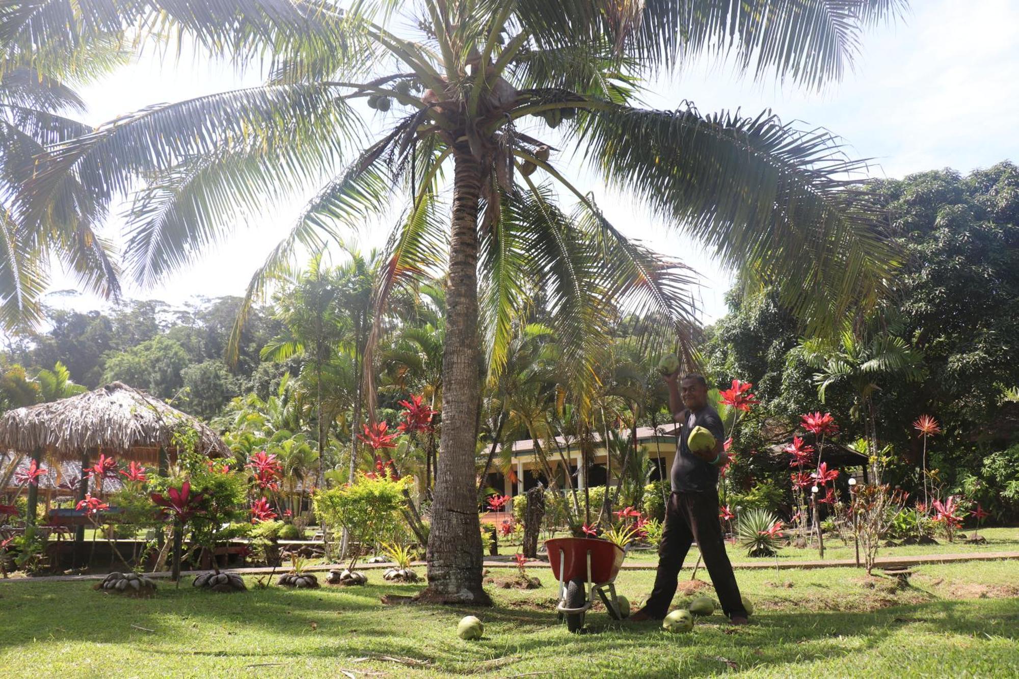Waidroka Bay Resort Deuba المظهر الخارجي الصورة