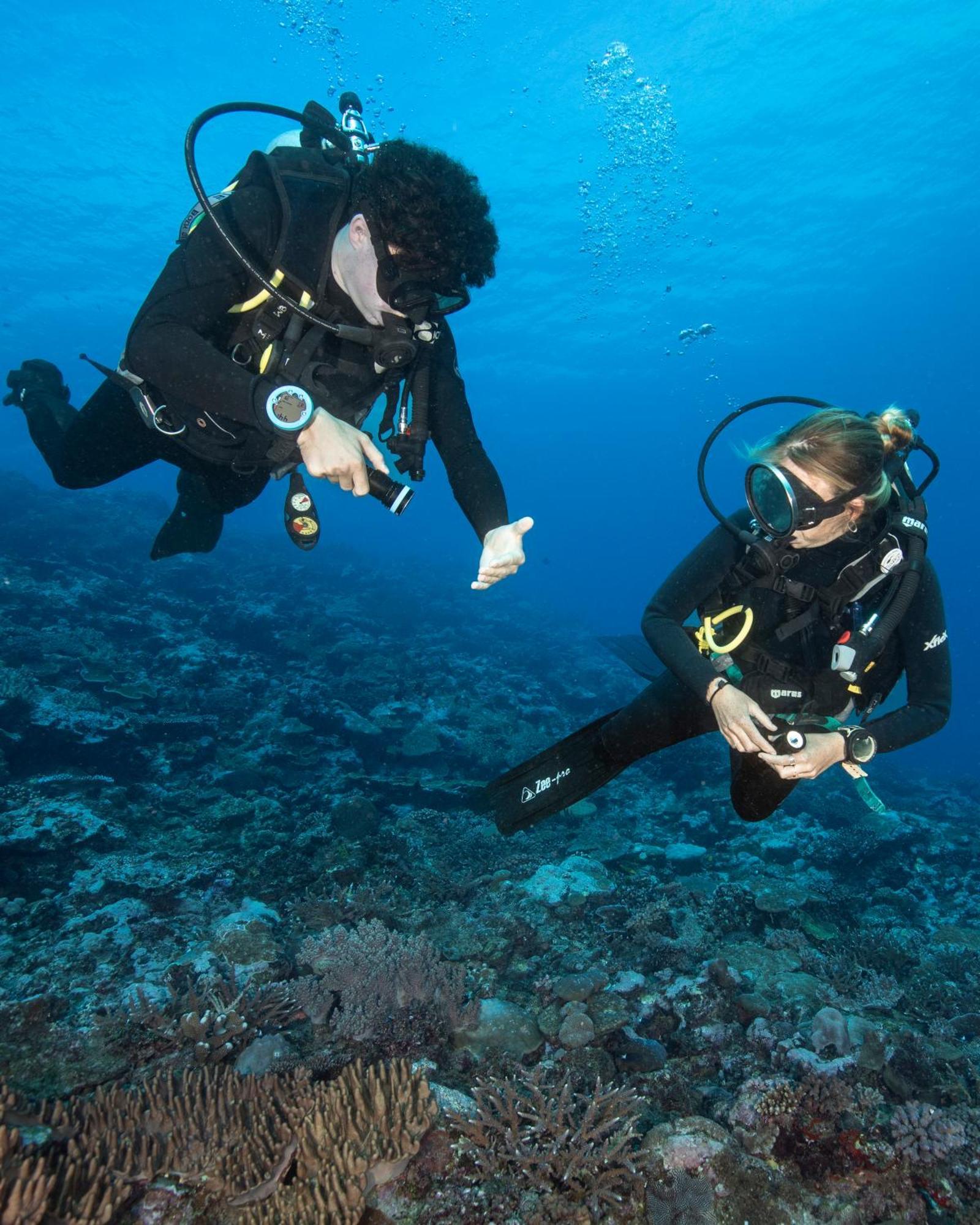 Waidroka Bay Resort Deuba المظهر الخارجي الصورة